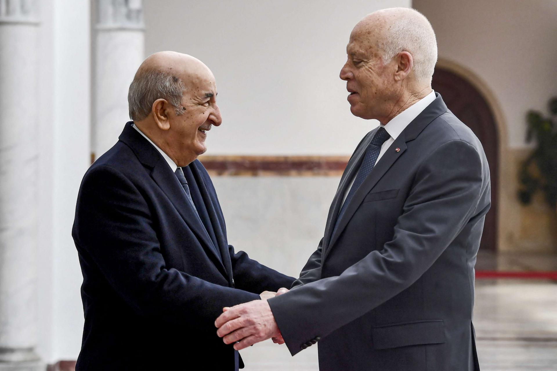 الدلالات السياسية لزيارة الرئيس التونسي إلى الجزائر