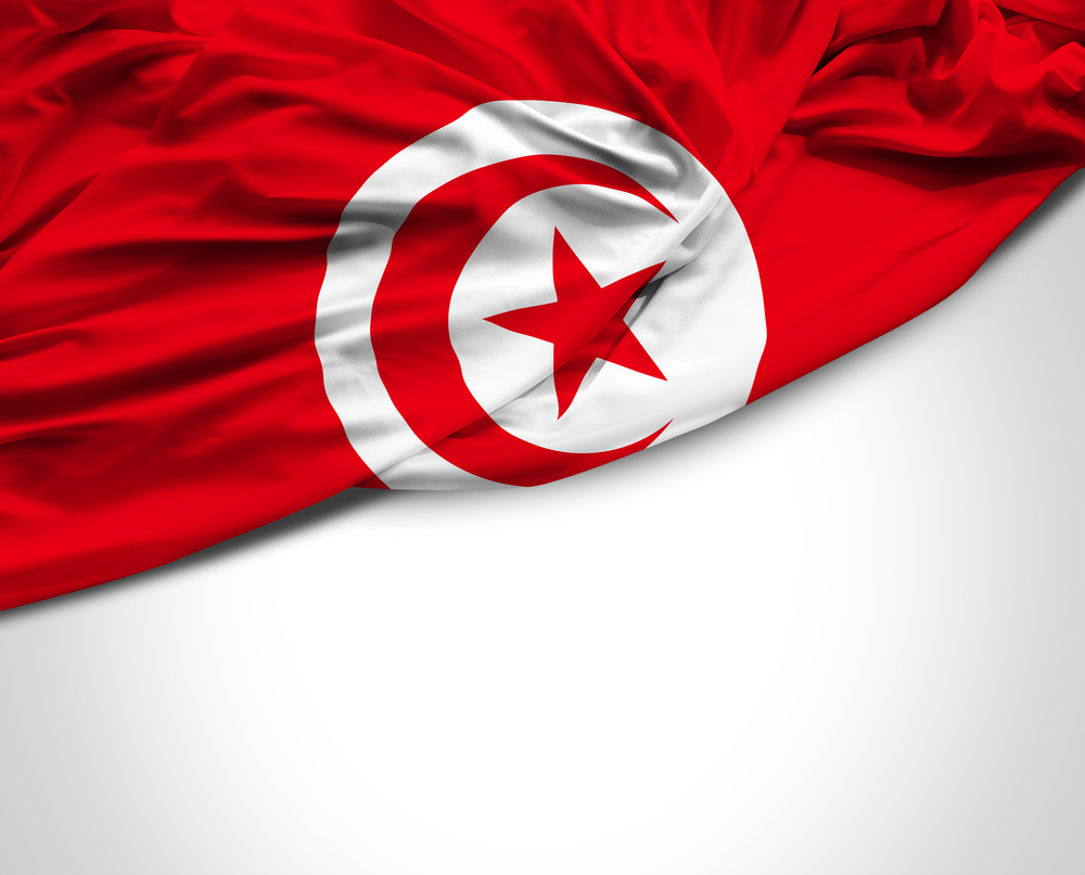 مستقبل الأزمة التونسية في مرحلة ما بعد الاستفتاء على الدستور