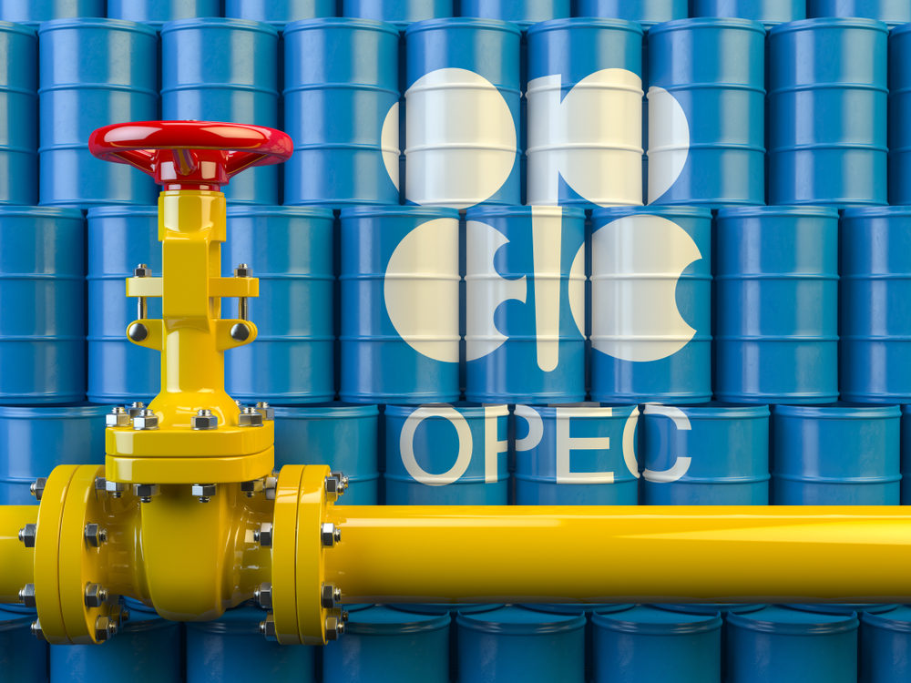 Motives behind OPEC’s Direction to Expand its Membership